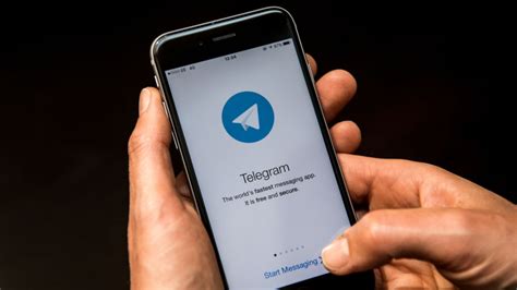 telegram boschimo chat